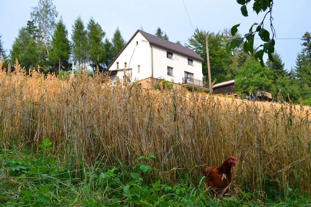 Kwatera Pod Lasem Istebna Extérieur photo
